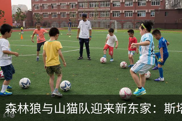 森林狼与山猫队迎来新东家：斯塔德以45亿美元收购多数股权